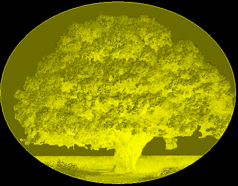 Elvin Kingdom Royal Seal